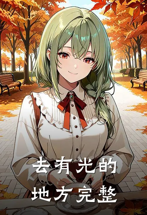 去有光的地方完整