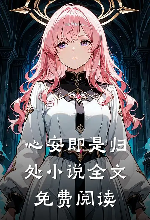 心安即是归处小说全文免费阅读