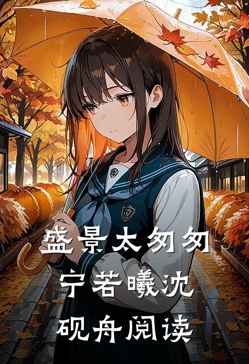 盛景太匆匆宁若曦沈砚舟阅读