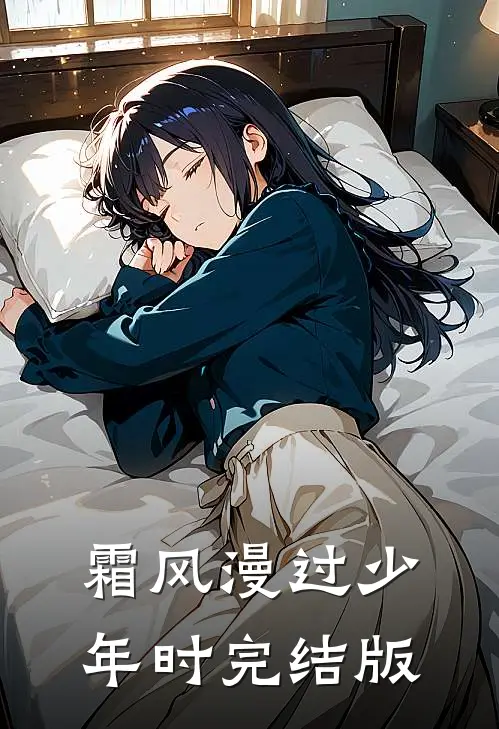 霜风漫过少年时完结版