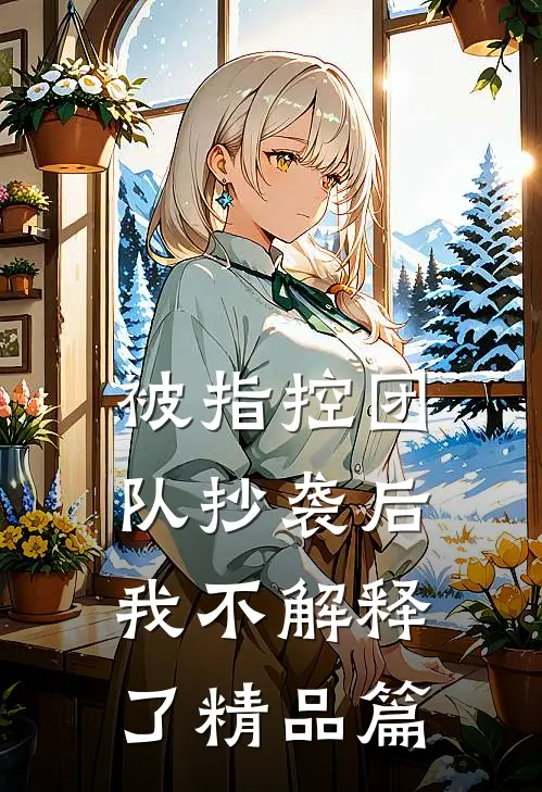 被指控团队抄袭后，我不解释了精品篇