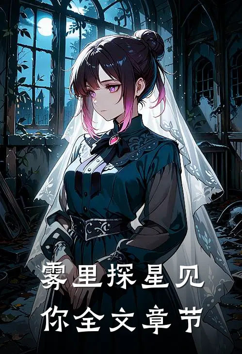雾里探星见你全文章节