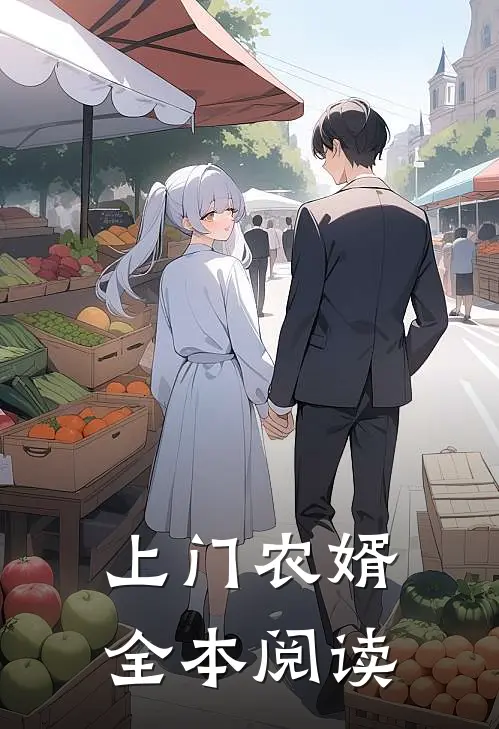 上门农婿全本阅读