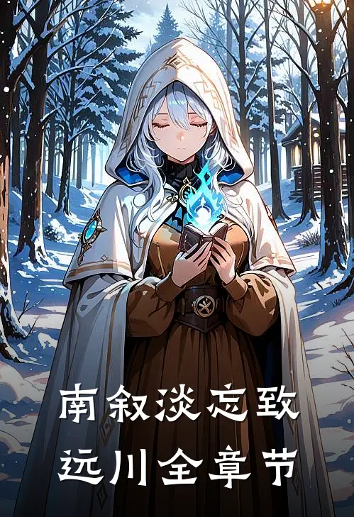 南叙淡忘致远川全章节