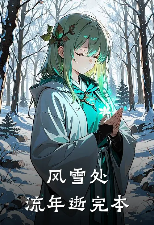 风雪处，流年逝完本