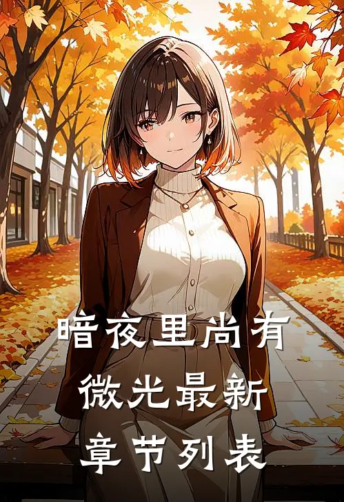 暗夜里尚有微光最新章节列表
