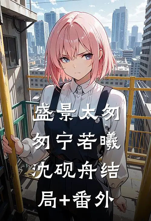 盛景太匆匆宁若曦沈砚舟结局+番外