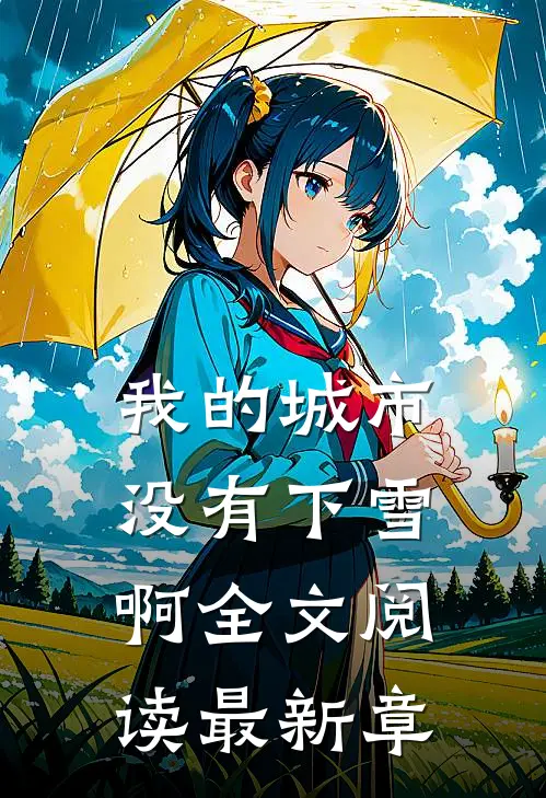 我的城市没有下雪啊全文阅读最新章