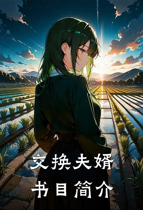 交换夫婿书目简介