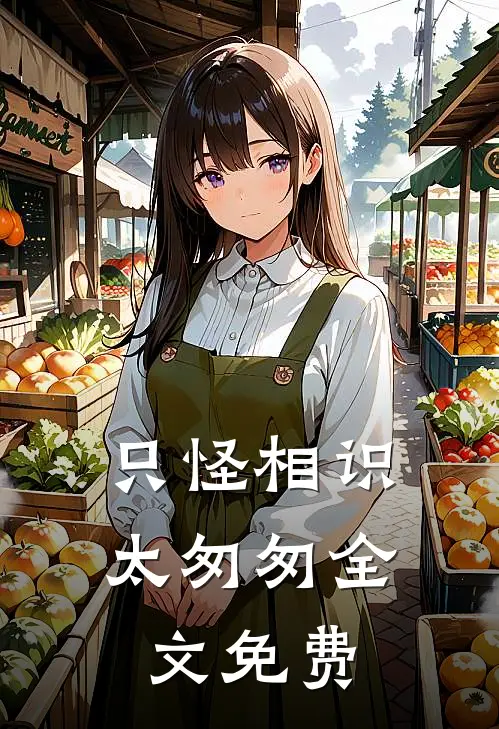 只怪相识太匆匆全文免费