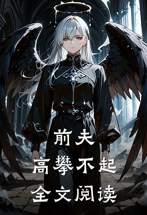 前夫，高攀不起全文阅读