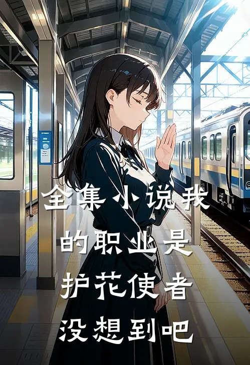 全集小说我的职业是护花使者，没想到吧