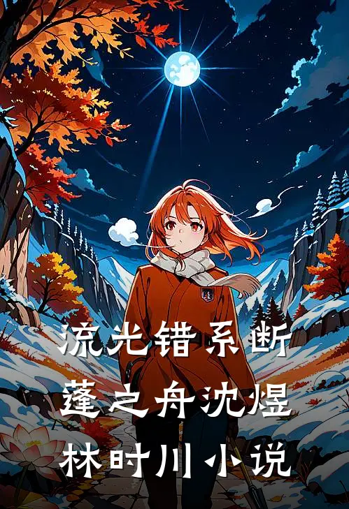 流光错系断蓬之舟沈煜林时川小说