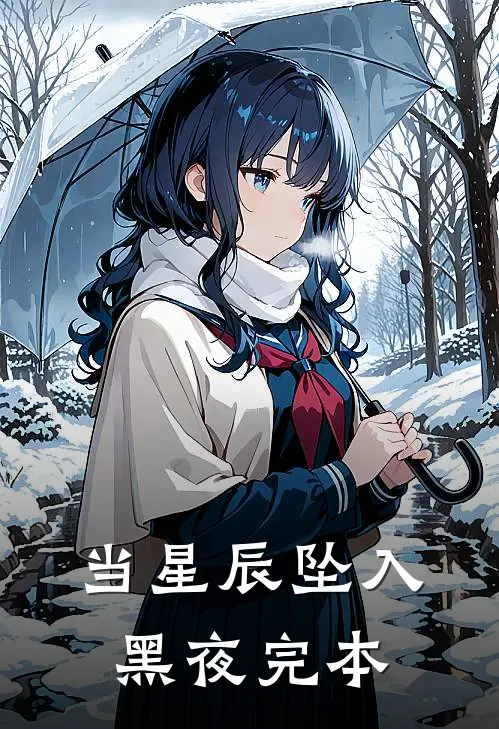 当星辰坠入黑夜完本