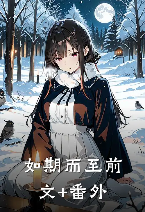 如期而至前文+番外
