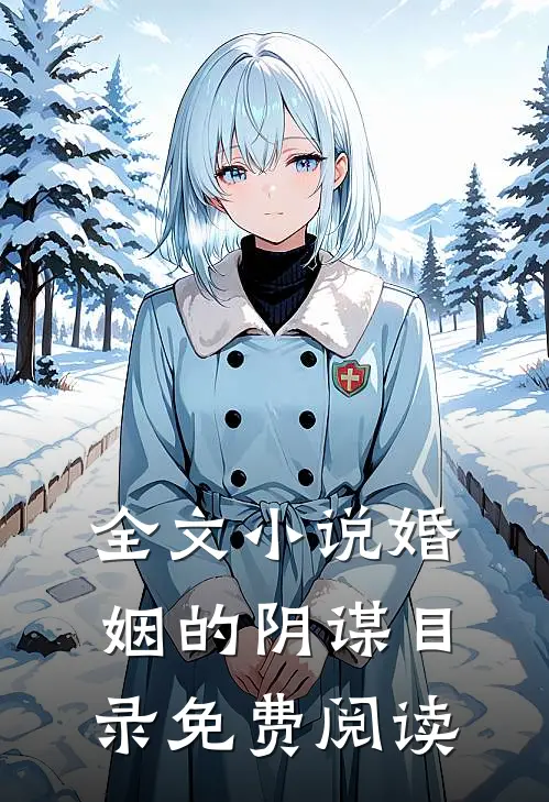 全文小说婚姻的阴谋目录免费阅读