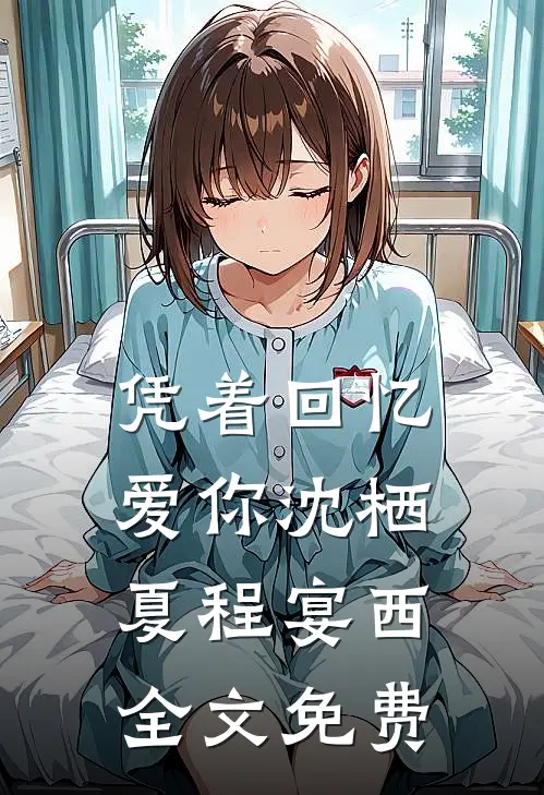 凭着回忆爱你沈栖夏程宴西全文免费
