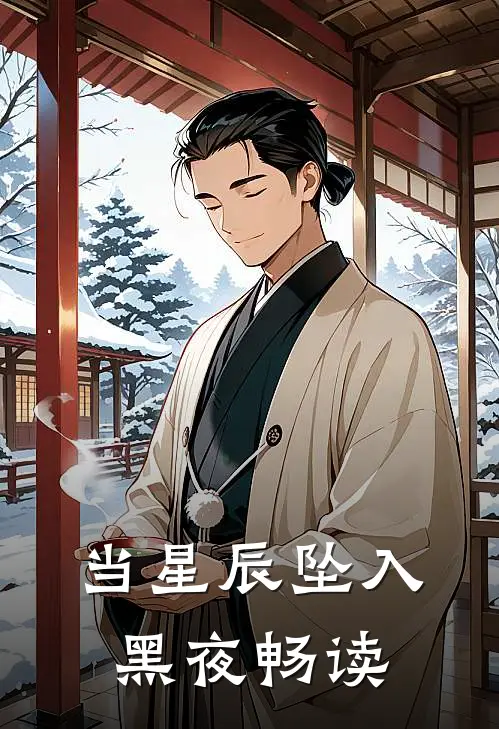 当星辰坠入黑夜畅读
