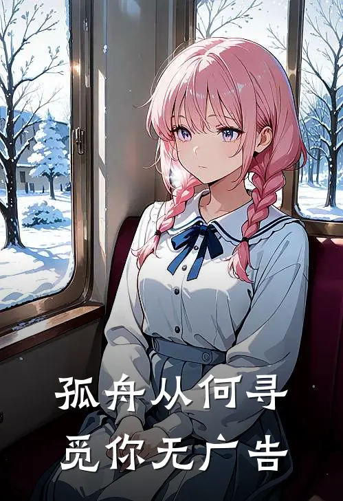 孤舟从何寻觅你无广告