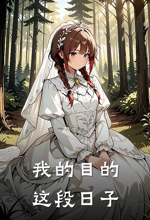 我的目的这段日子