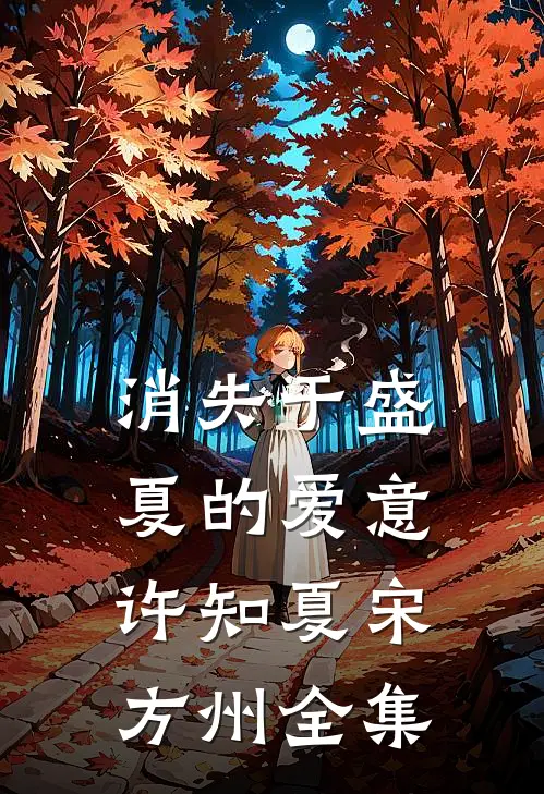 消失于盛夏的爱意许知夏宋方州全集