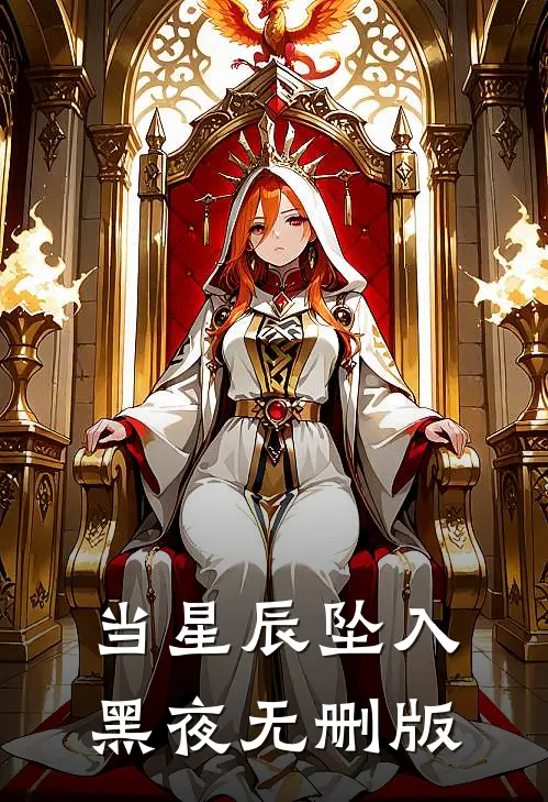 当星辰坠入黑夜无删版