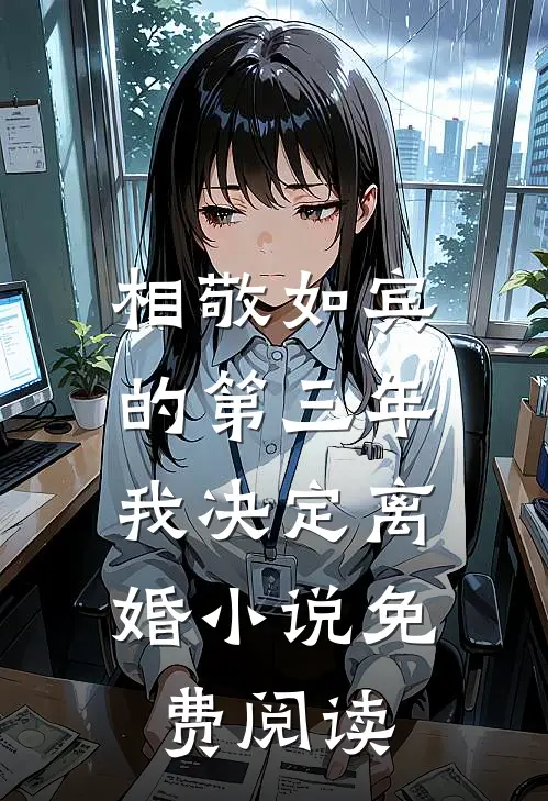 相敬如宾的第三年，我决定离婚小说免费阅读