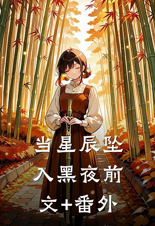 当星辰坠入黑夜前文+番外