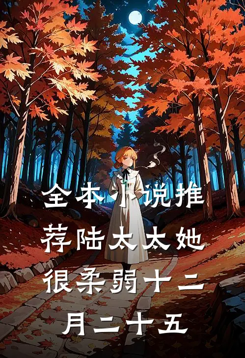 全本小说推荐陆太太她很柔弱 十二月二十五