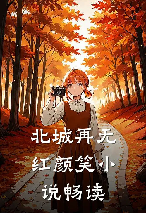 北城再无红颜笑小说畅读
