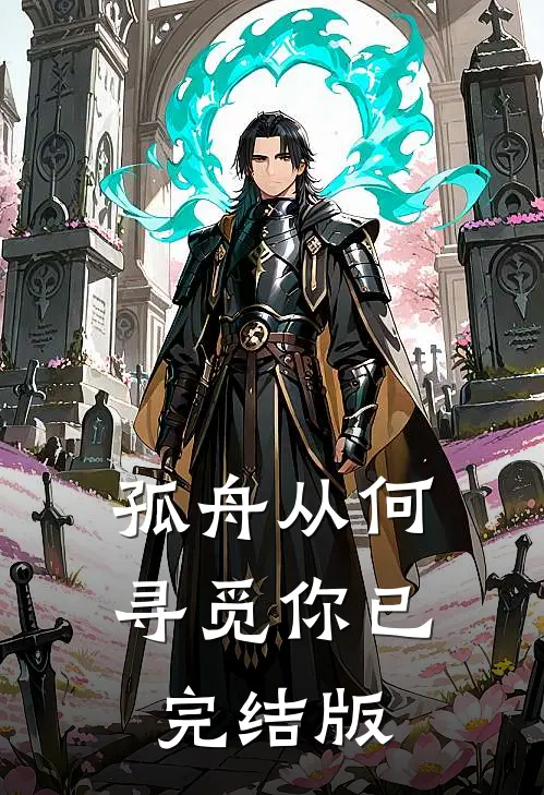 孤舟从何寻觅你已完结版