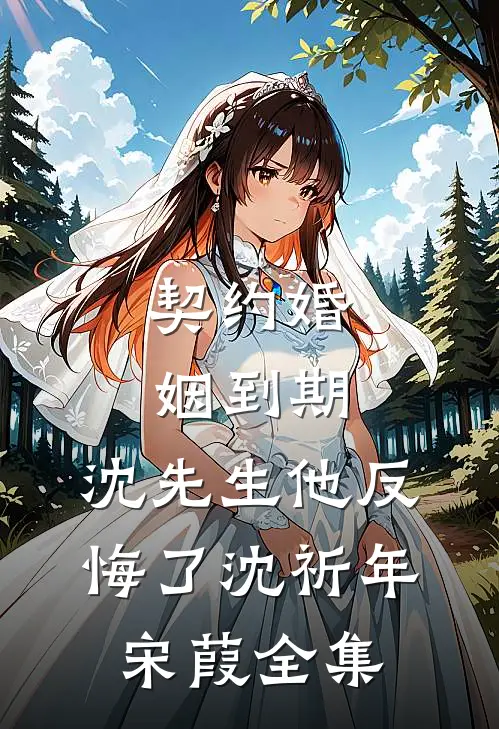 契约婚姻到期，沈先生他反悔了沈祈年宋葭全集